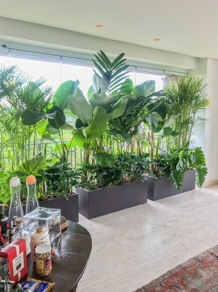 a living room filled with lots of green plants