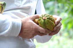 fruto
