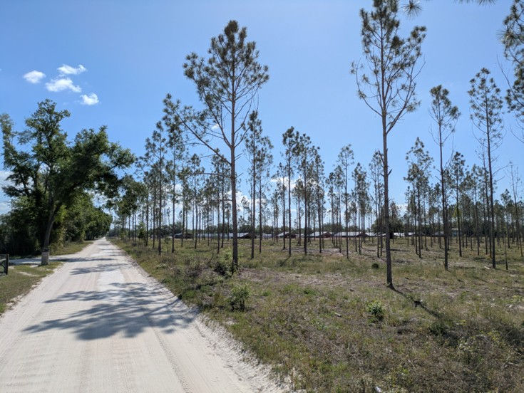 Parker Estates