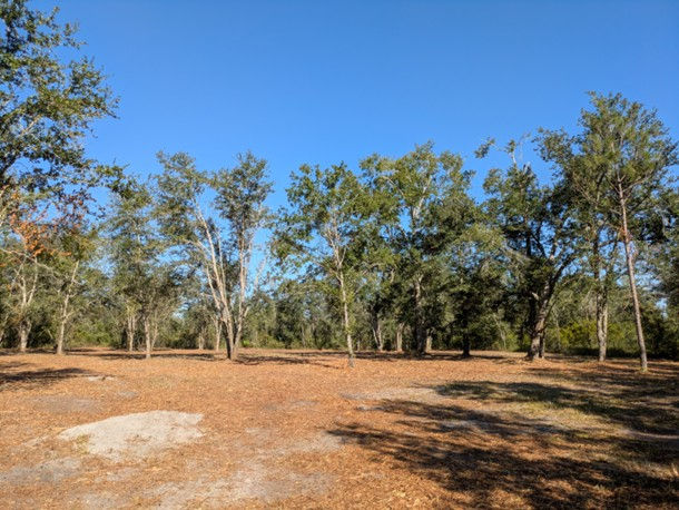 Midway Forest - Estate 16