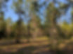 Addy Reign Acres - Estate A1