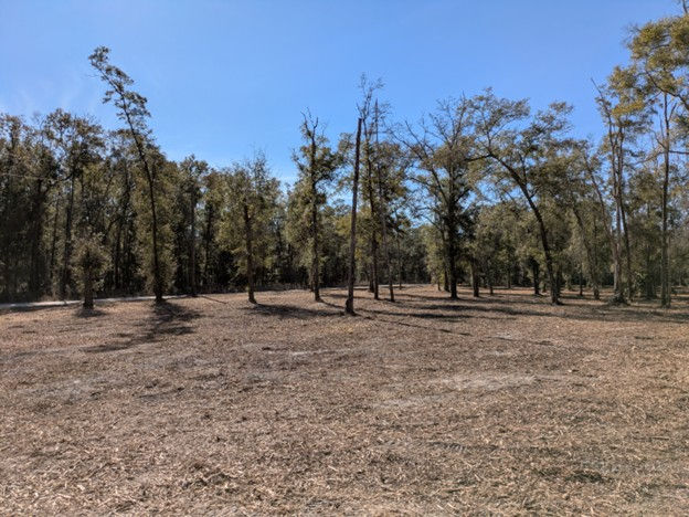 Florida Hills - Estate 47