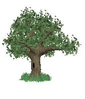 arbres-gifs-animes-192318.gif
