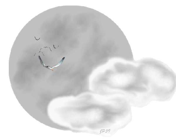 image-0980383-20210305-ob_cb9726_lune.gif
