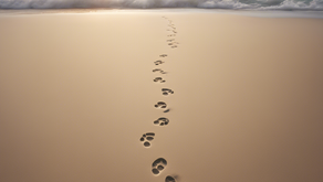 Compassionate Psychotherapy for Trauma and Addiction in India