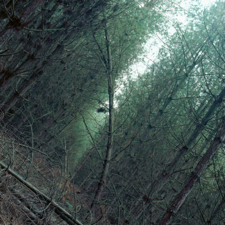 Captura de pantalla 2022-03-28 a las 19.50.40.png