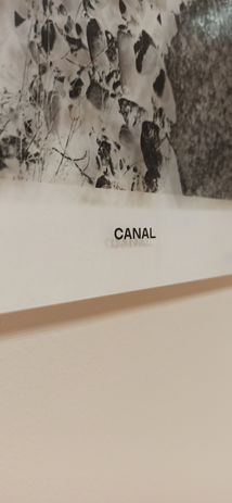 Jorge Conde_Ficción Canal_closeup_Co-net.jpg