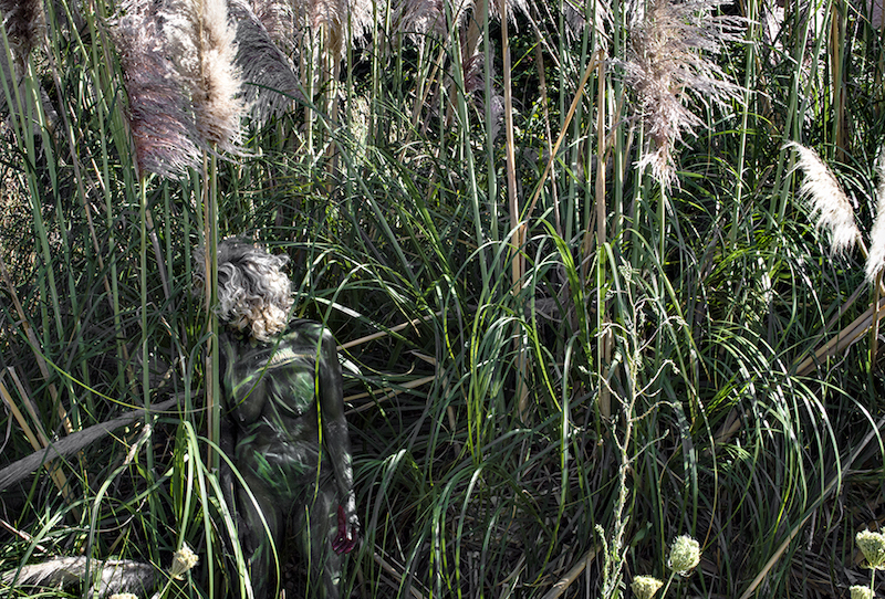 'Willows'