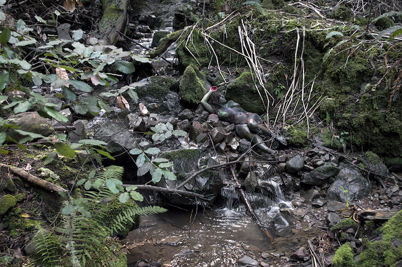 'Forest Creek'