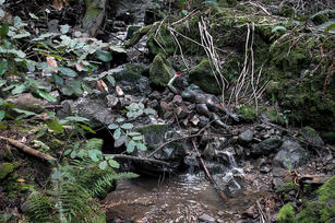 River.Rocks.1.72dpi.jpeg