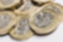 Pound coins