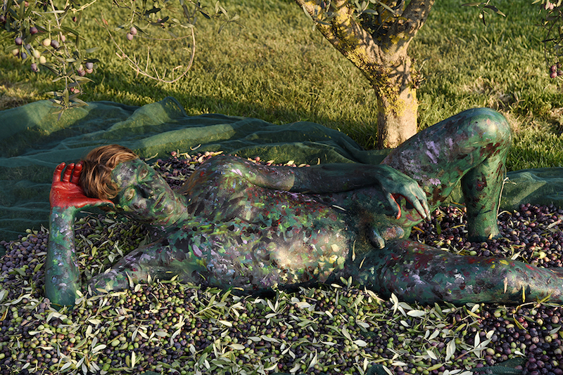 'Olive Harvest'