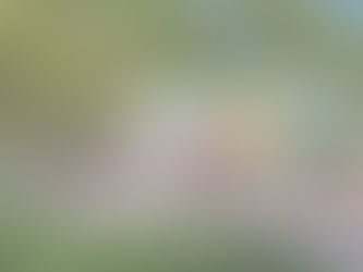 Beyond Trends: How Placemaking Design Shapes Authentic Identity