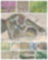 Template-30.jpg
