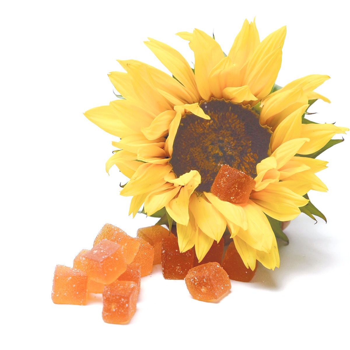 Hygeia Gummies