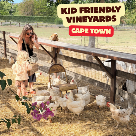 Best Vineyards with Kids in Cape Town, Stellenbosch & Franschhoek