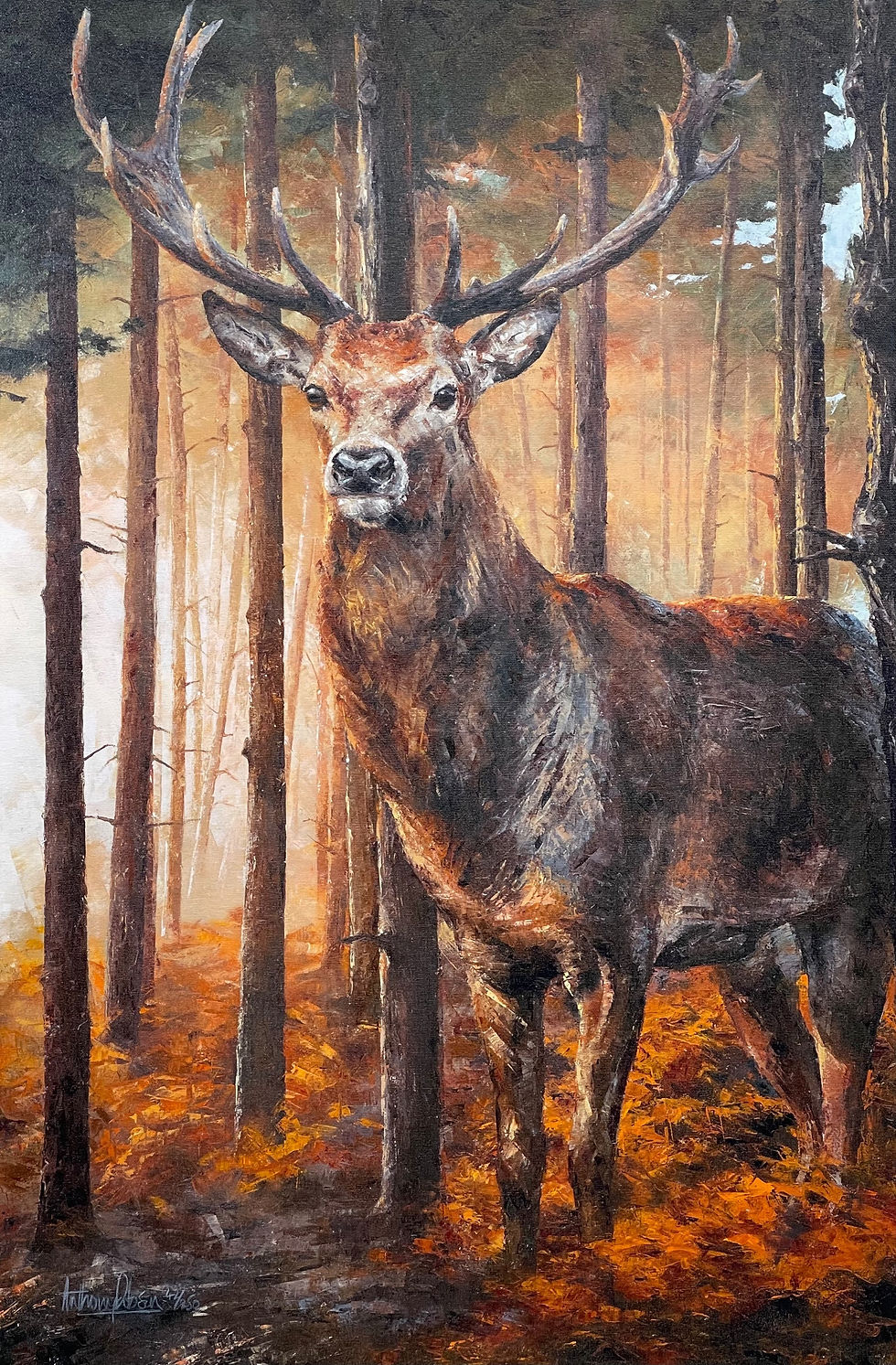 Forest Gaze Limited Edition Tavistock Galleries