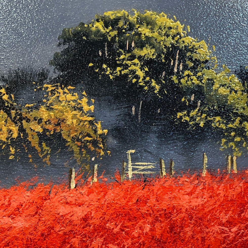 Thumbnail: Square Red Fields SOLD