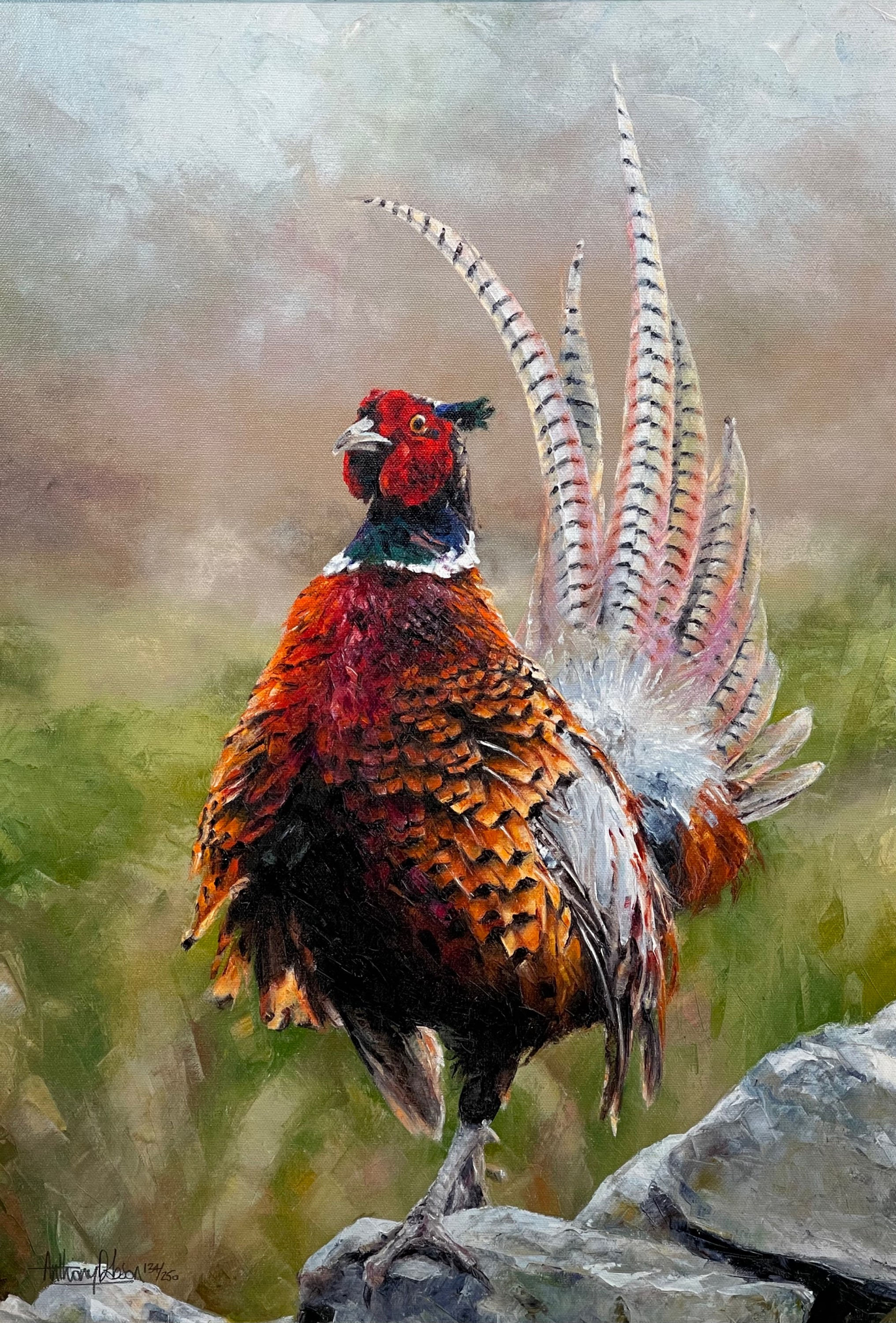 Cock o’ the North - Limited Edition