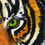 Thumbnail: Eye of the Tiger SOLD