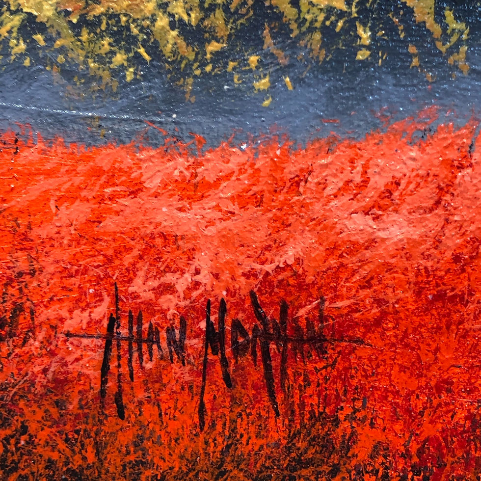 Thumbnail: Square Red Fields SOLD