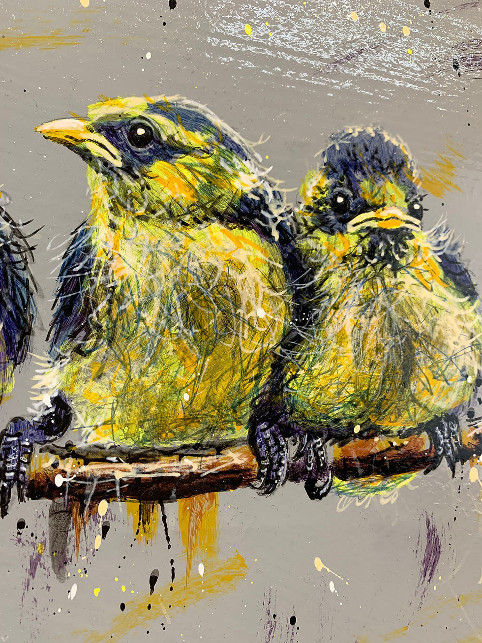 Thumbnail: Birds - Original SOLD