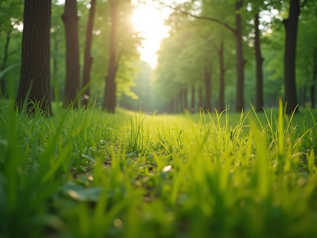 The Importance of Sustainable Living in Today's World