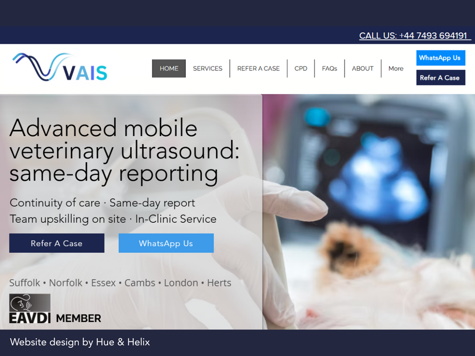 Website Home Page Design VAIS