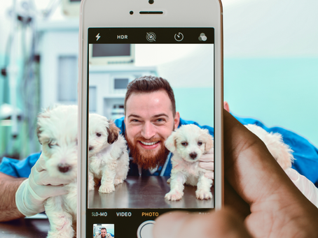 Man in blue scrubs smiling with three fluffy puppies in a vet clinic, captured on a smartphone screen for Instagram marketing, conveys joy and care.