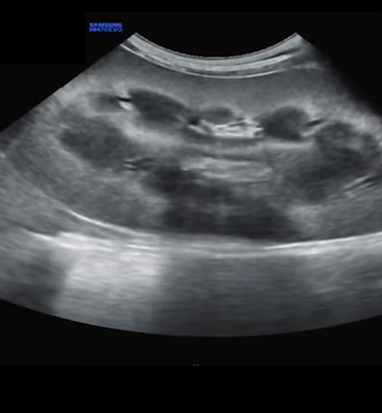 Screenshot 2025-10-21 191352.png