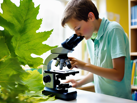 Empowering Students through Environmental Education at The Juniper School