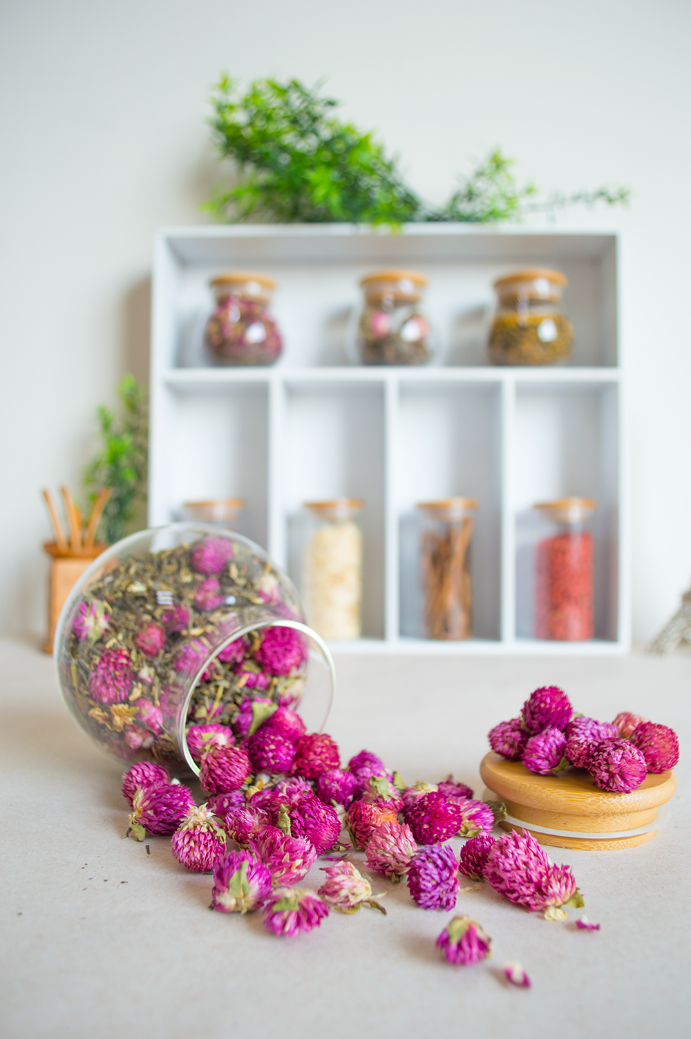 Infusión Amaranto rosa con té verde