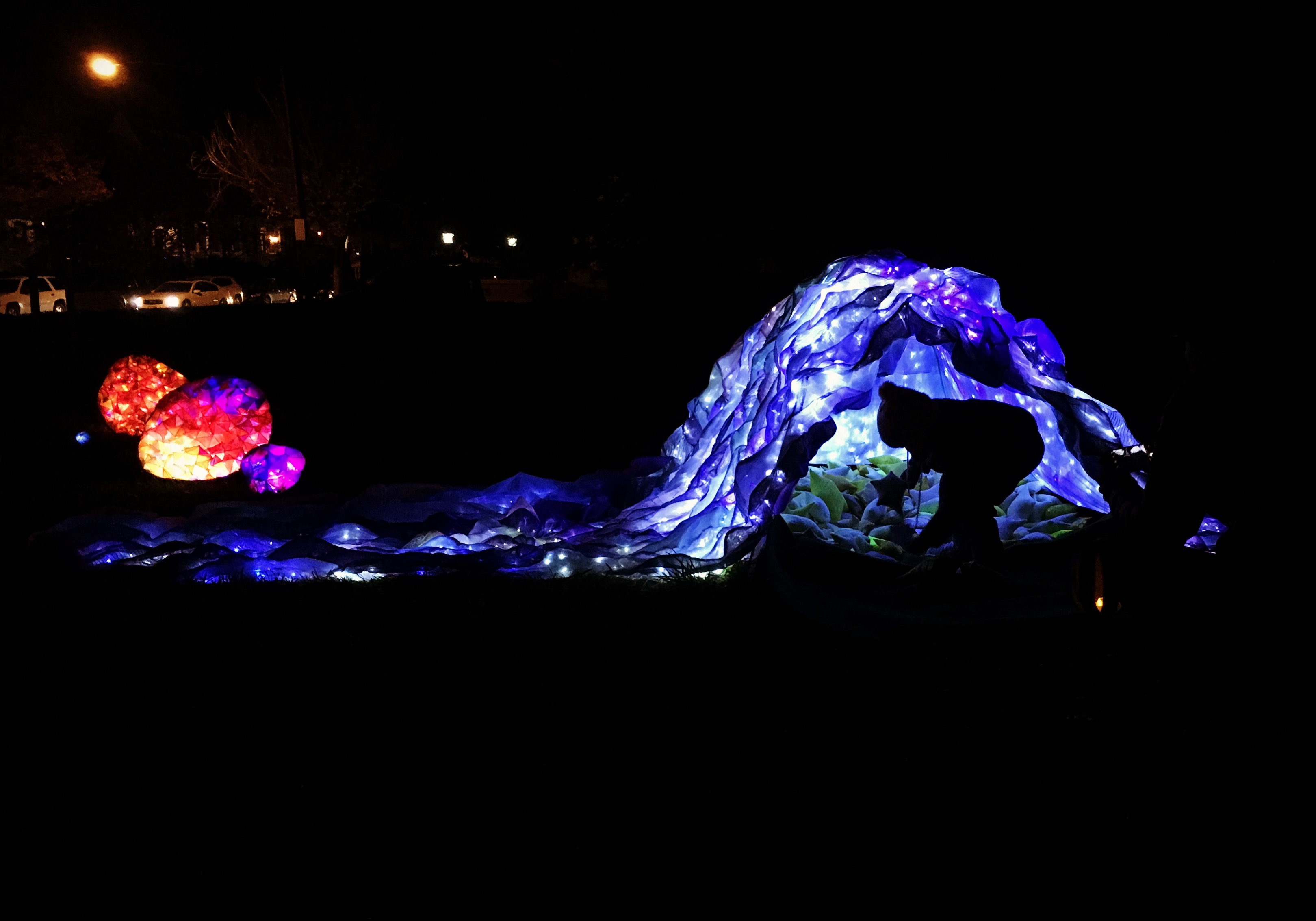 Reitmeyer_InLight