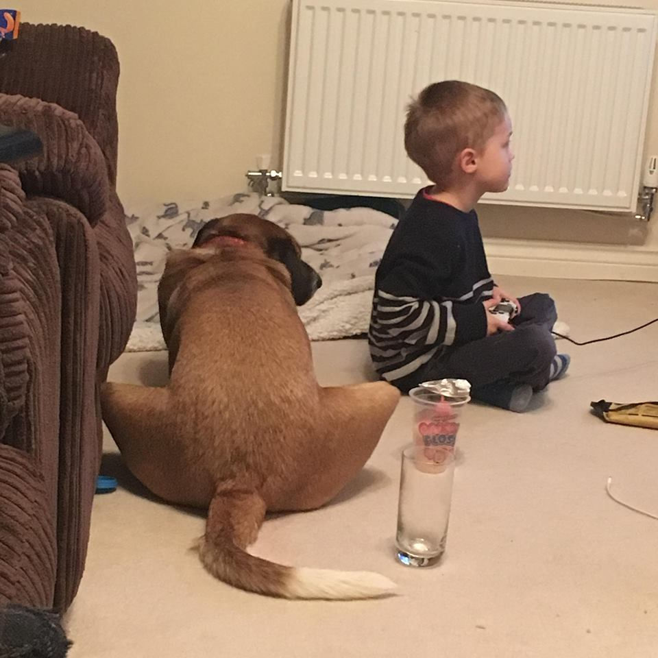 Thumbnail: Rusti, 2 years, Swindon.