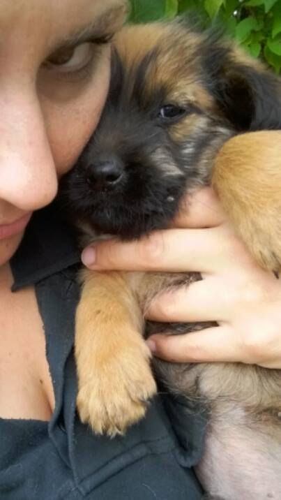 Thumbnail: Seppi, born late August, small