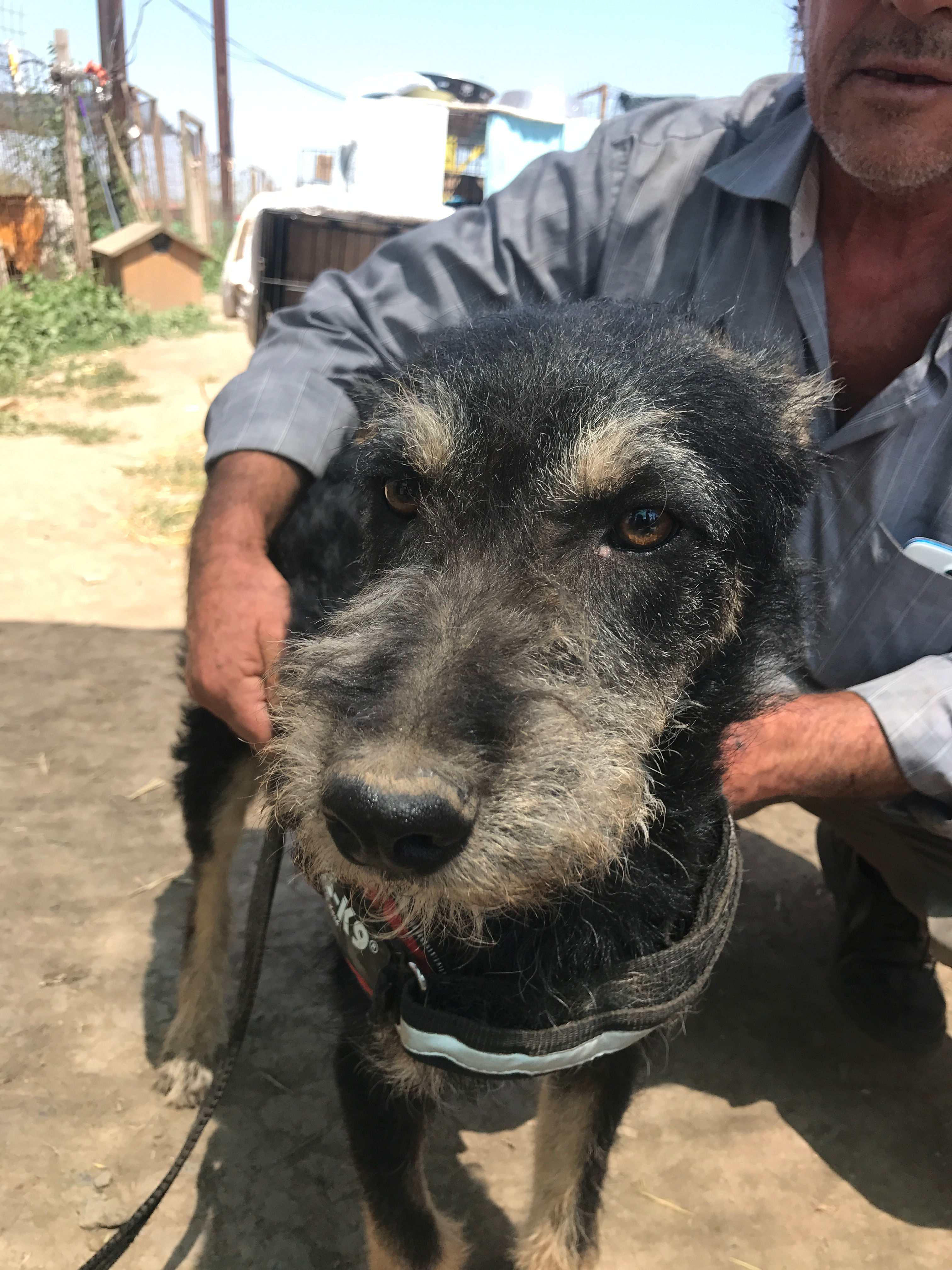 Pistachio - born Feb