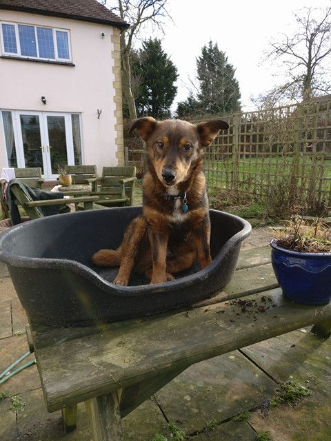 Thumbnail: Nemo, born May, in Wiltshire