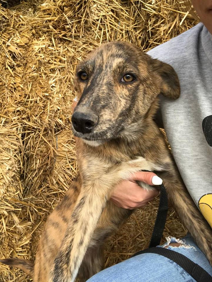 Thumbnail: Ginny, born April