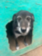 Monty