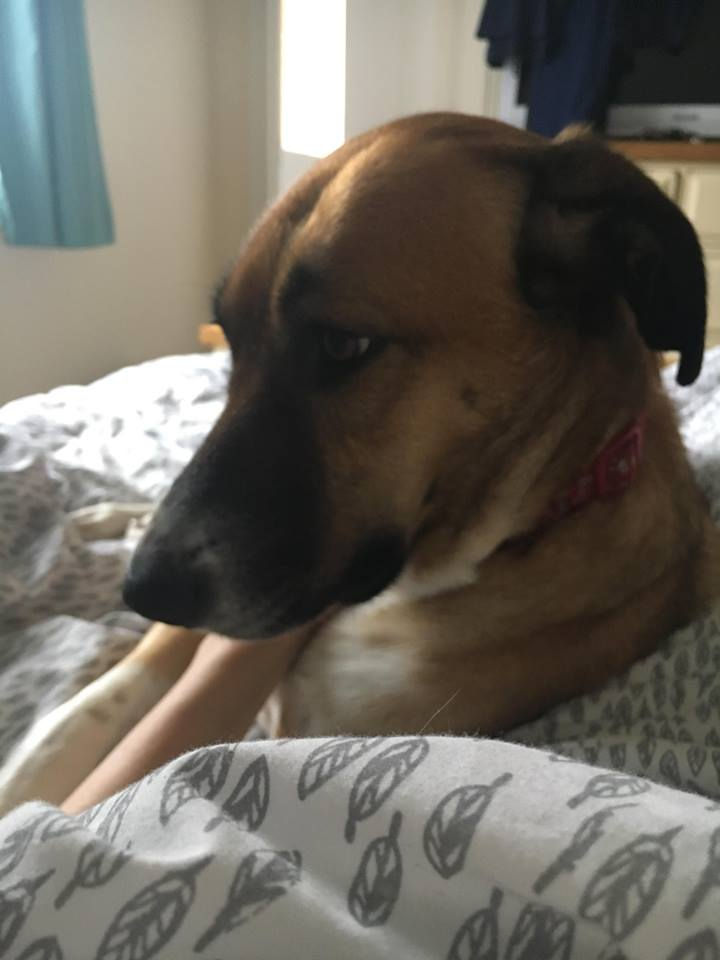 Thumbnail: Rusti, 2 years, Swindon.