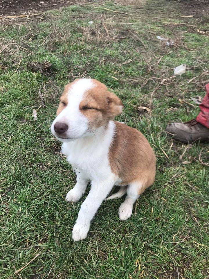 Thumbnail: Tilly, born Oct