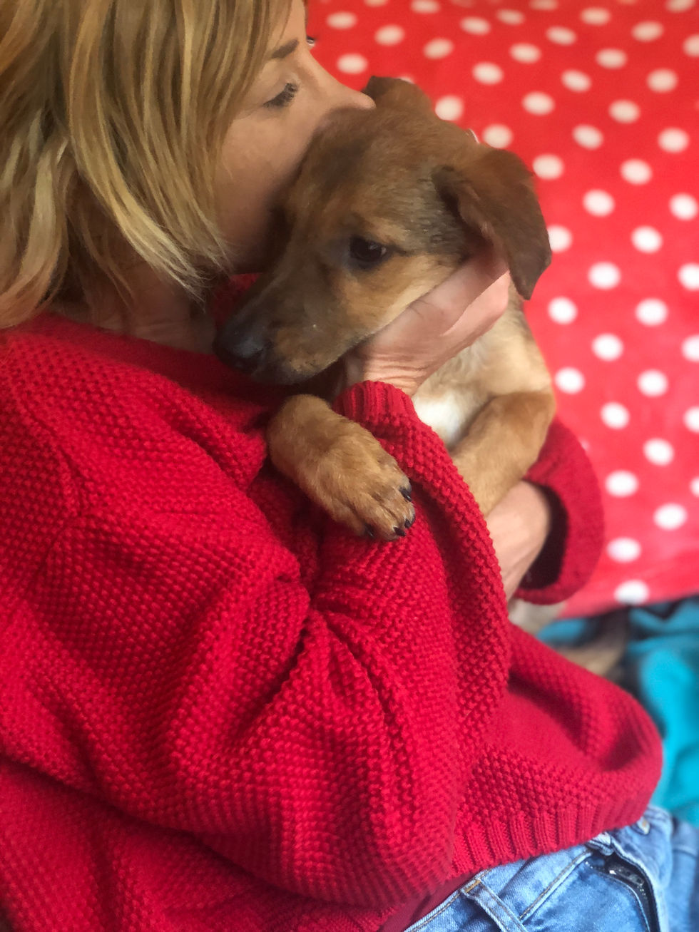 Thumbnail: Adele, female, born June