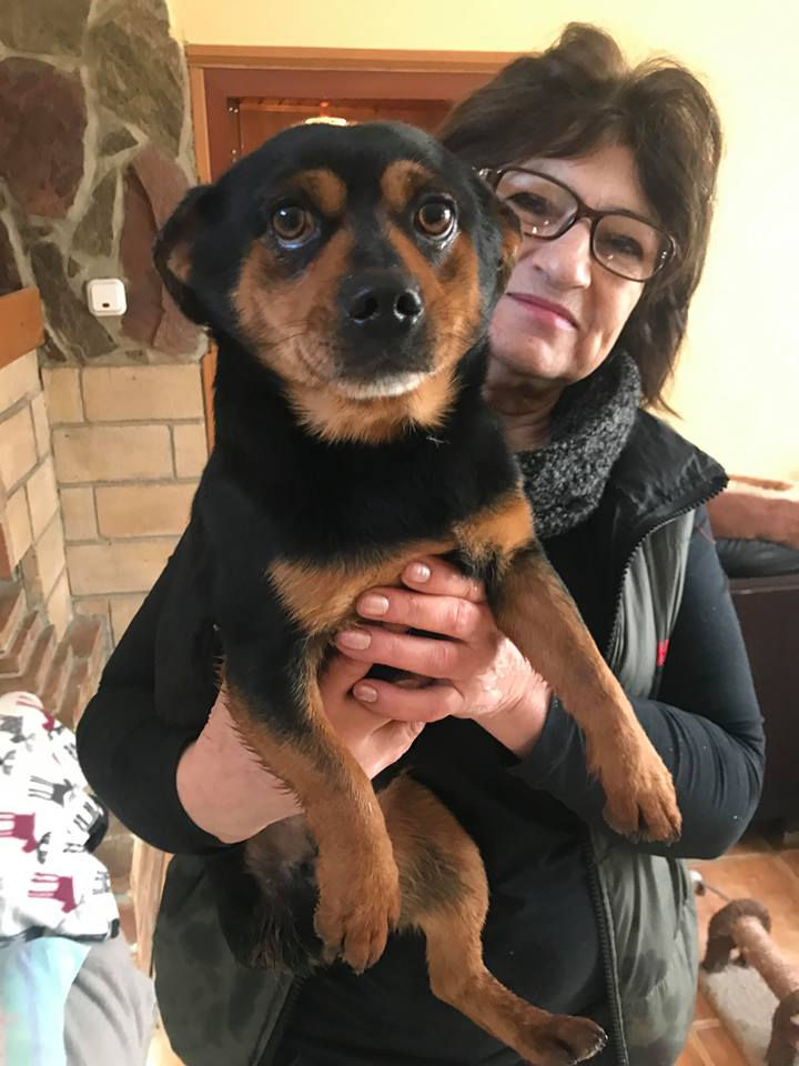 Thumbnail: Floyd,small, 3 years, tripaw