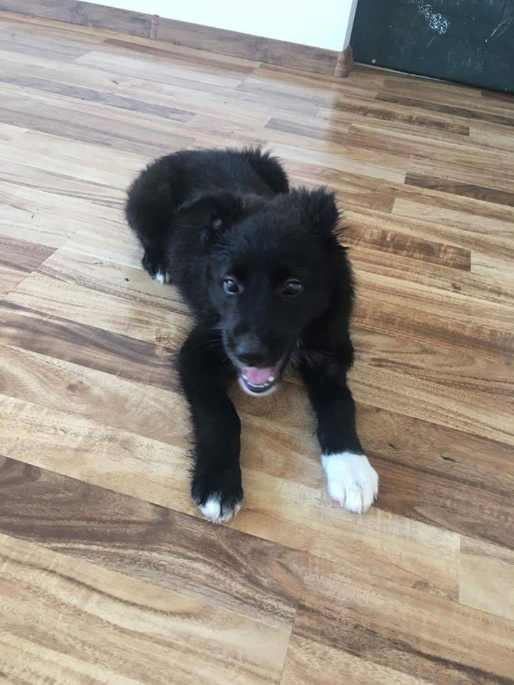 Thumbnail: Izzy, born May