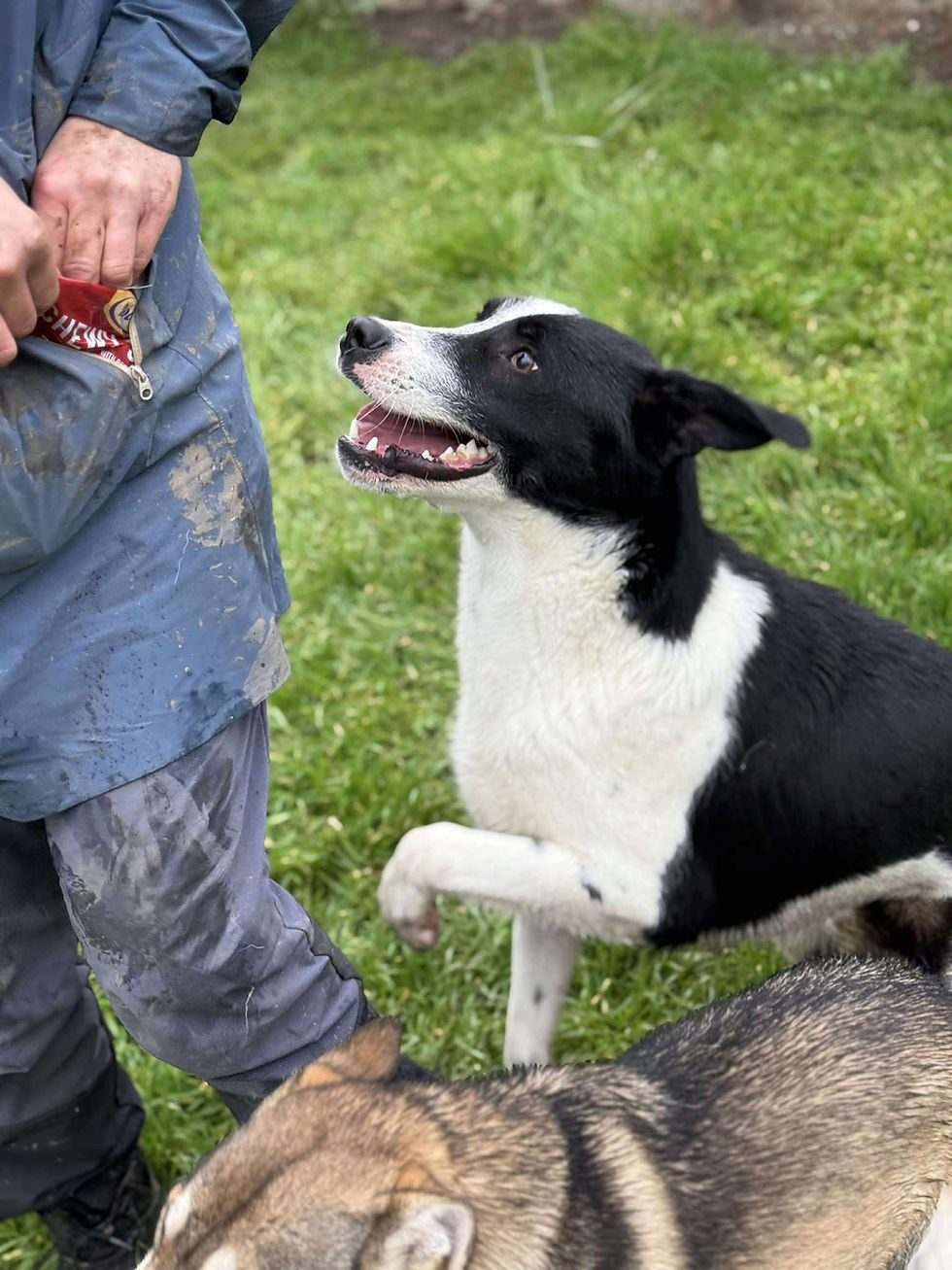 Thumbnail: Bandit, Aug 2024