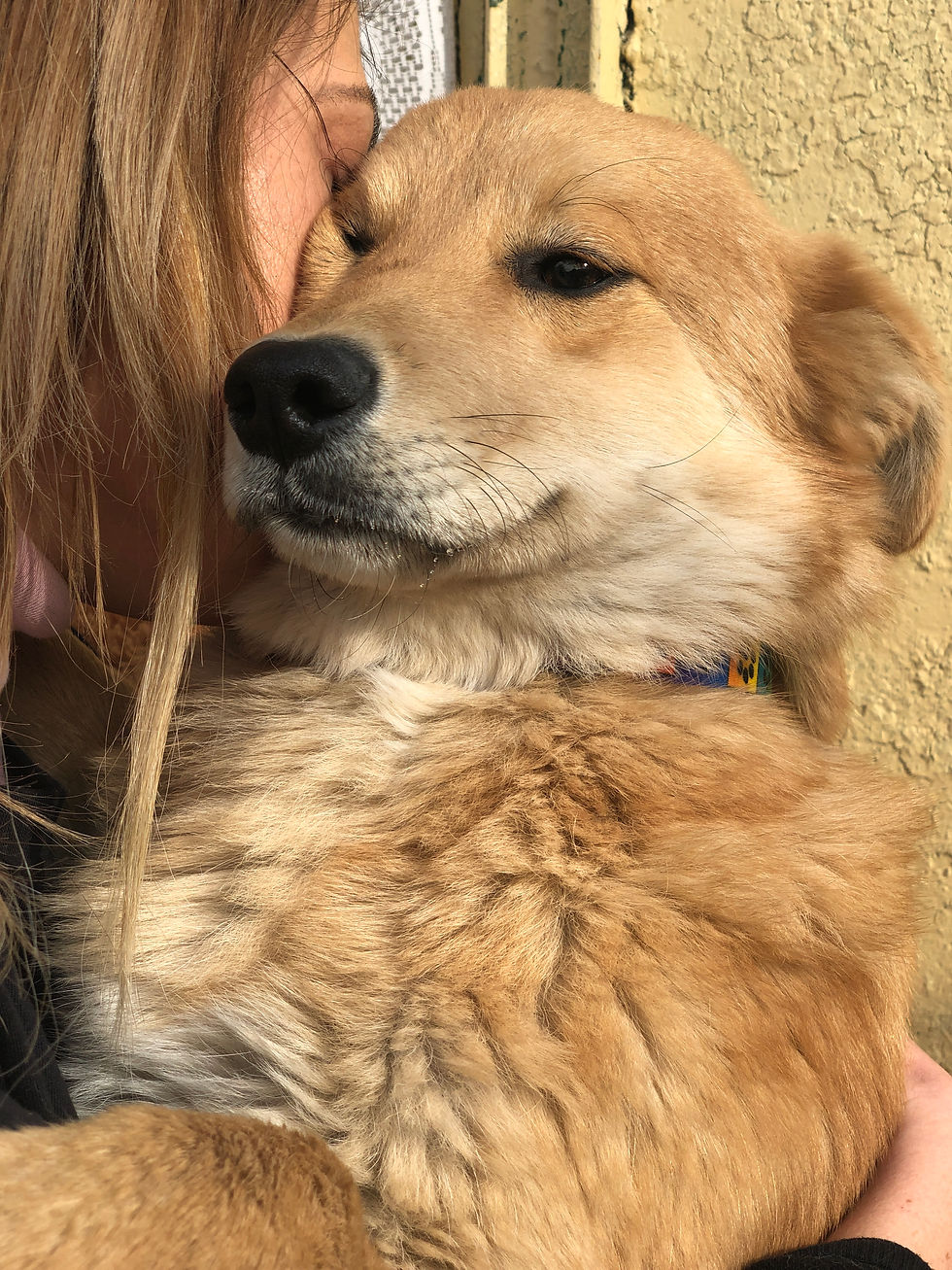 Thumbnail: Louie, born late July 2018