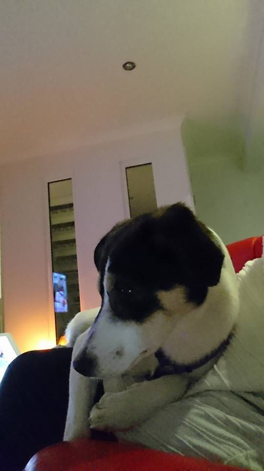 Thumbnail: Candy, born March, in Dundee