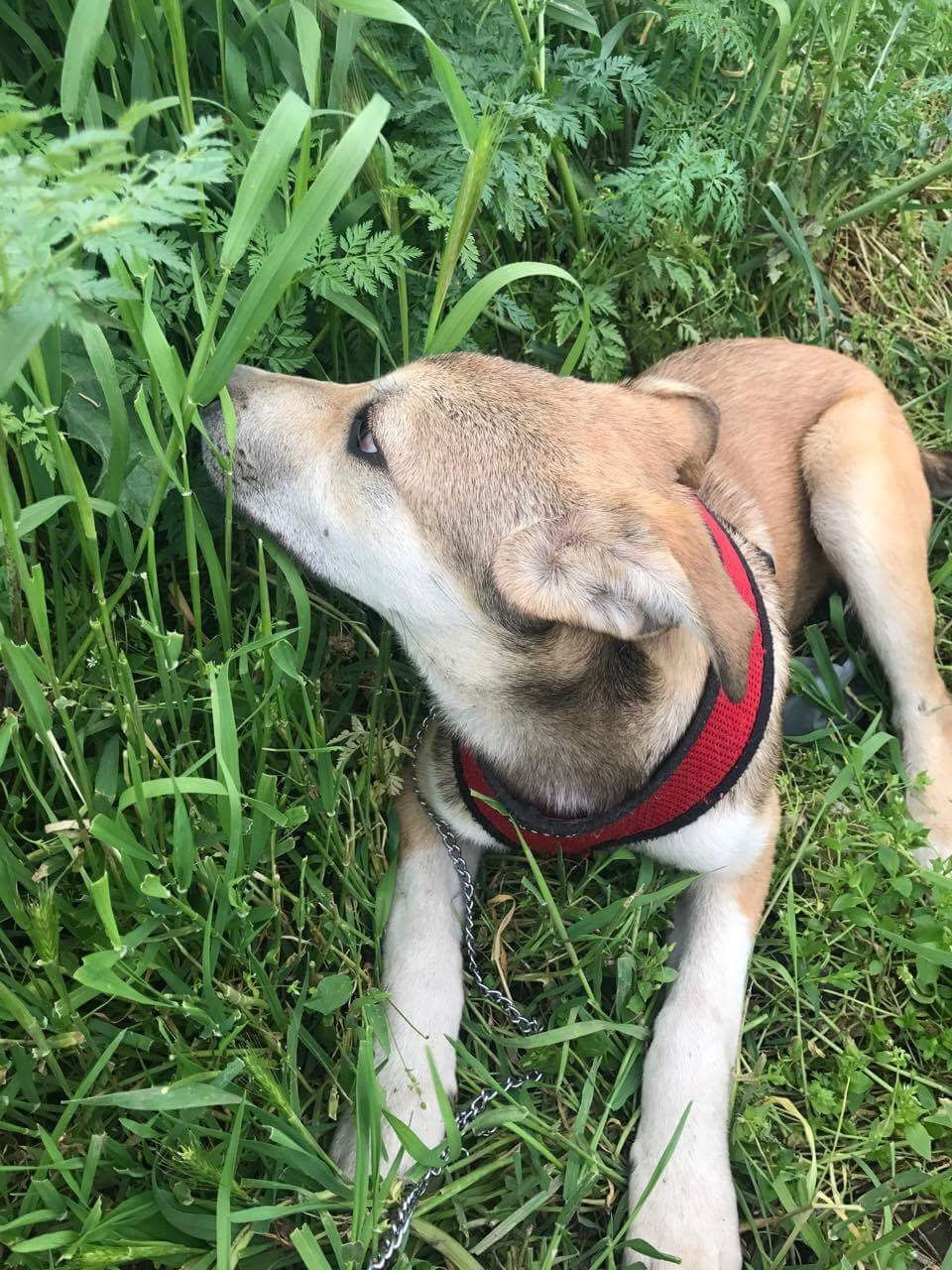 Thumbnail: Teddy - born January