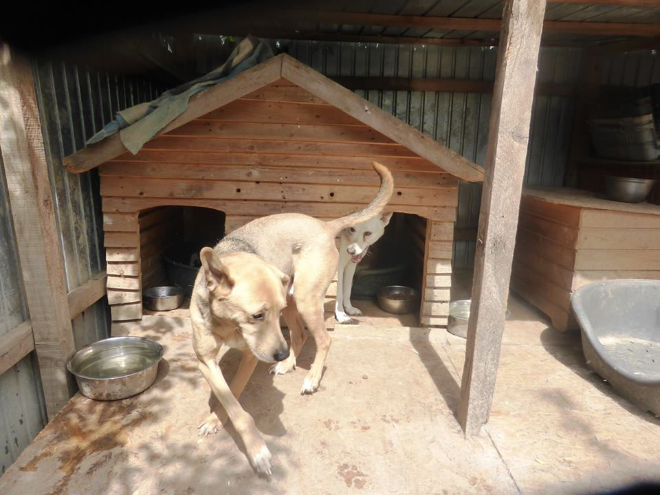 Thumbnail: Happy, 2012