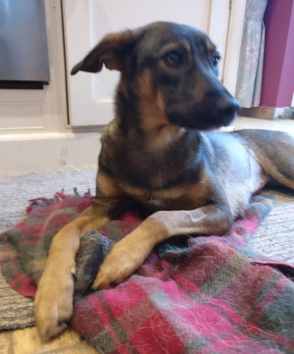 Thumbnail: Colleen, born July 2018
